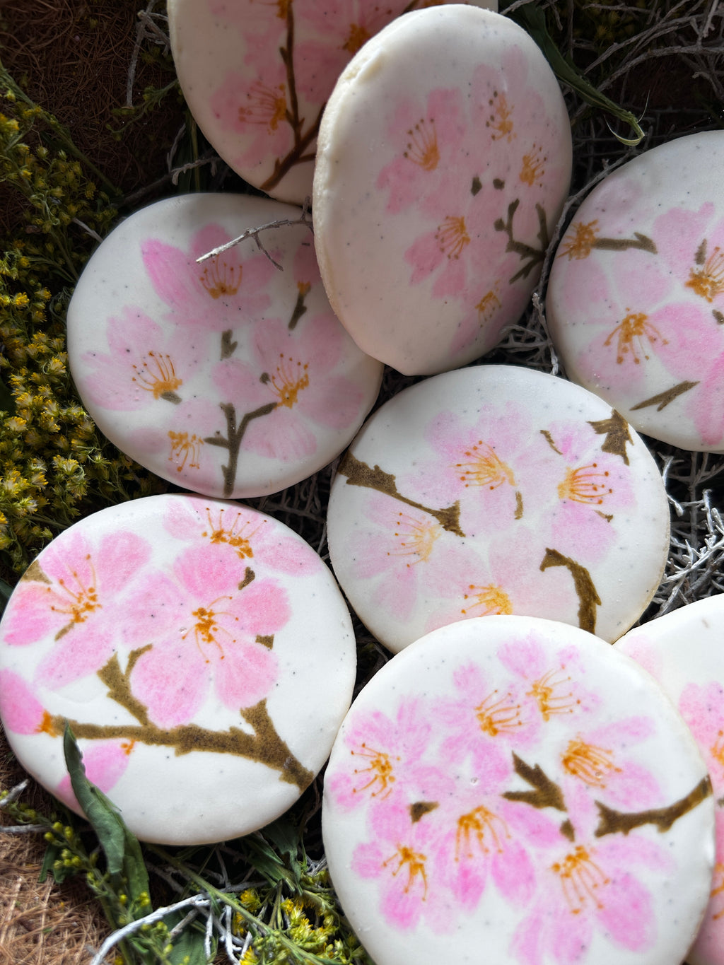 Handpainted Cookie — Cherry Blossom