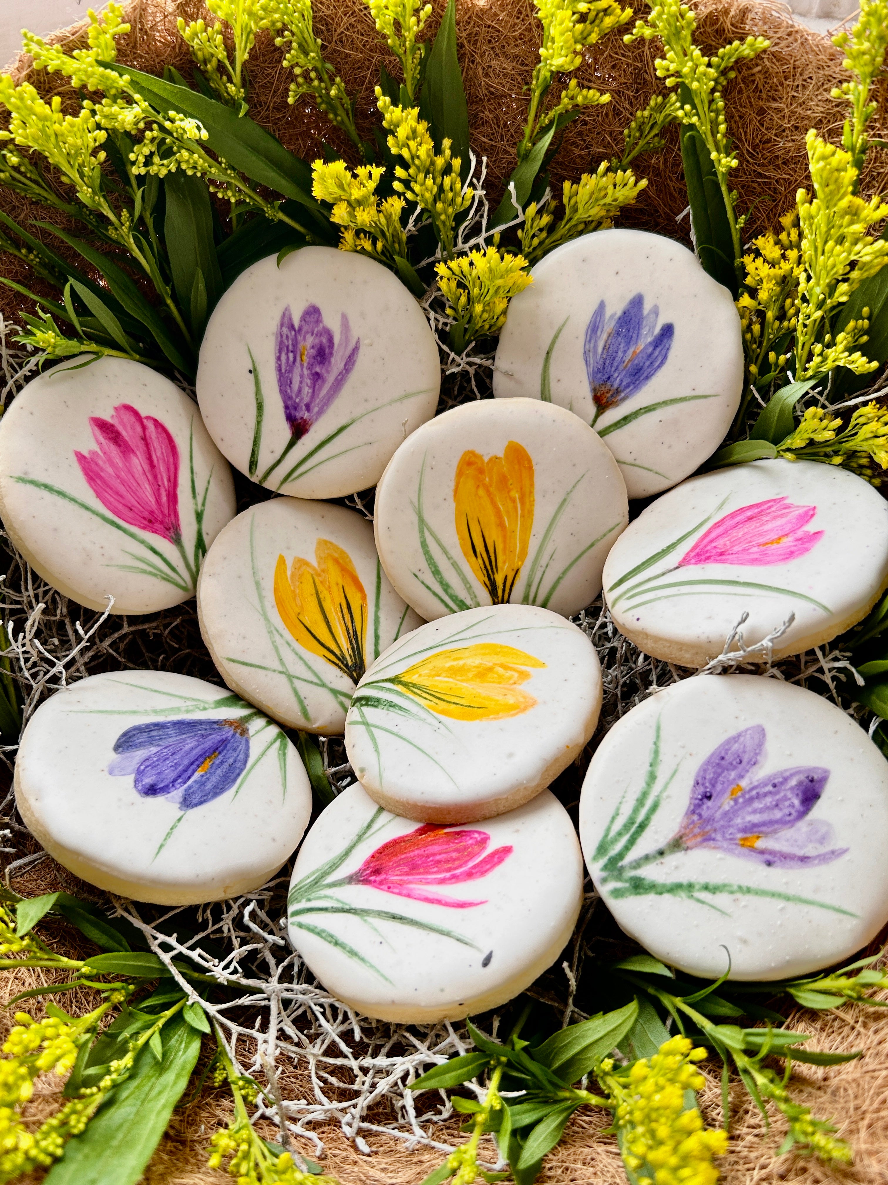 Crocus – MOONBEAMS + MARIGOLDS