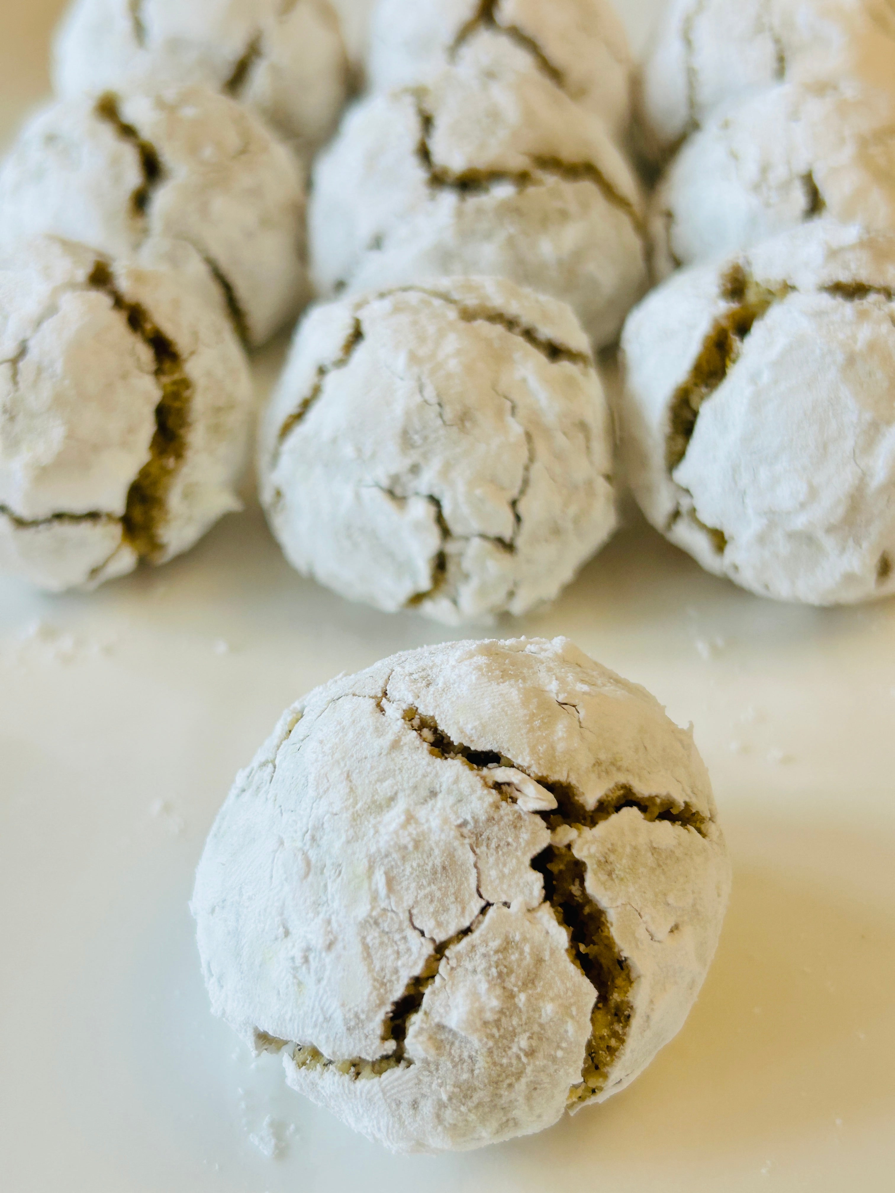 Lottie — Earl Grey