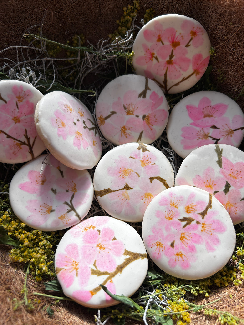 Handpainted Cookie — Cherry Blossom