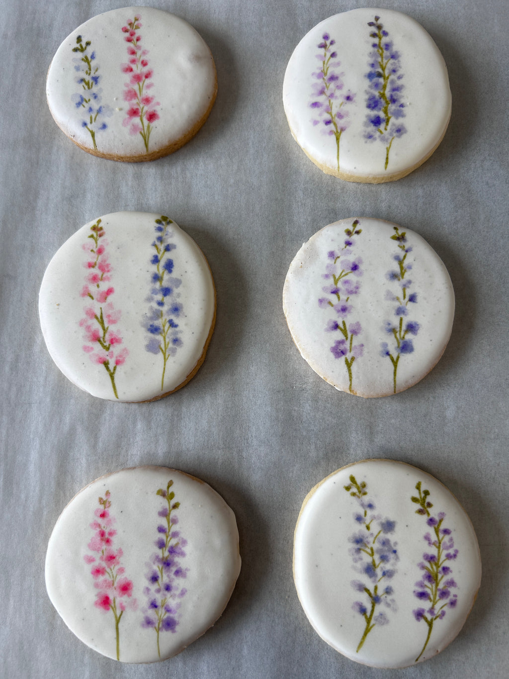 Larkspur