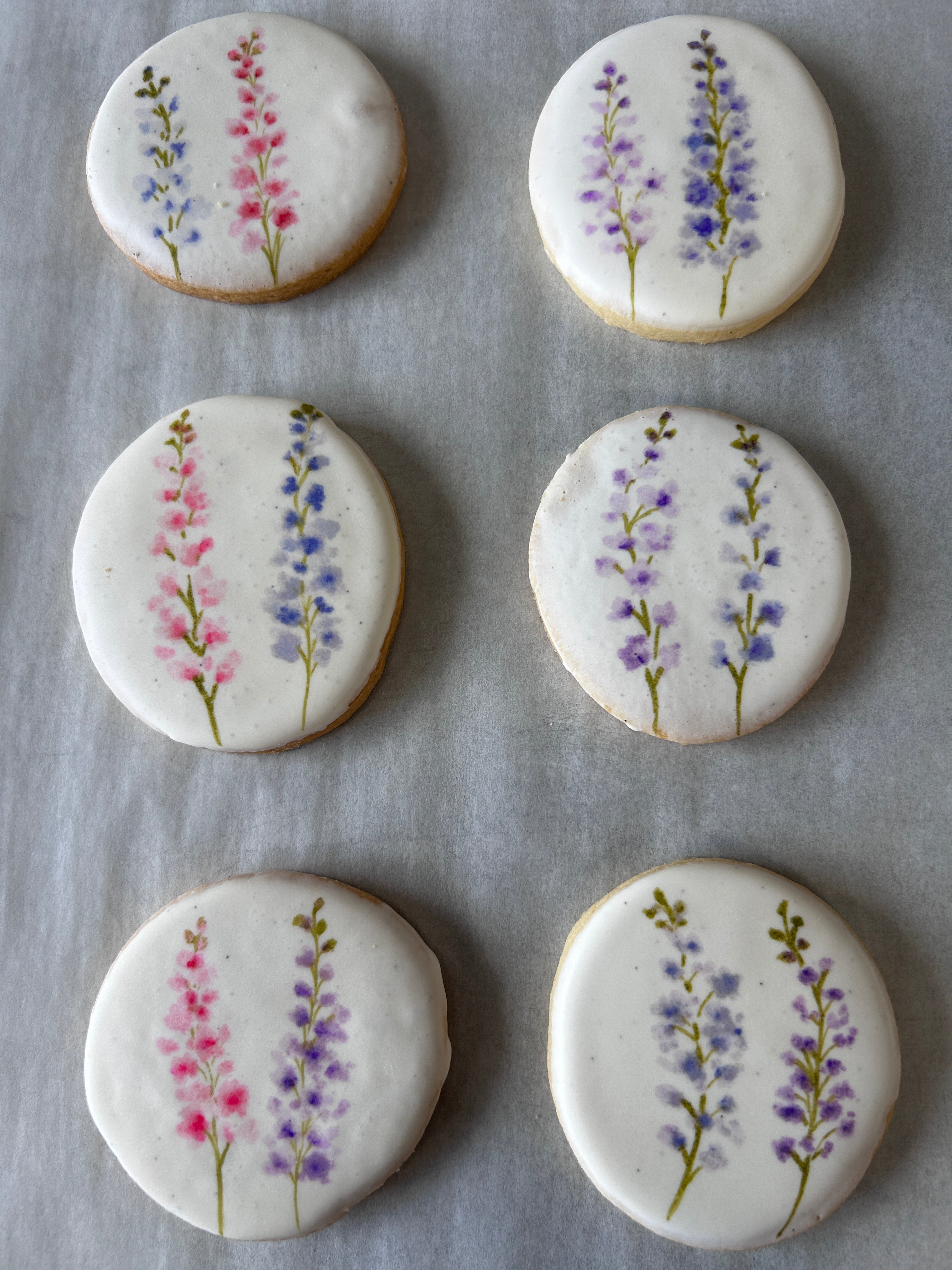 Larkspur