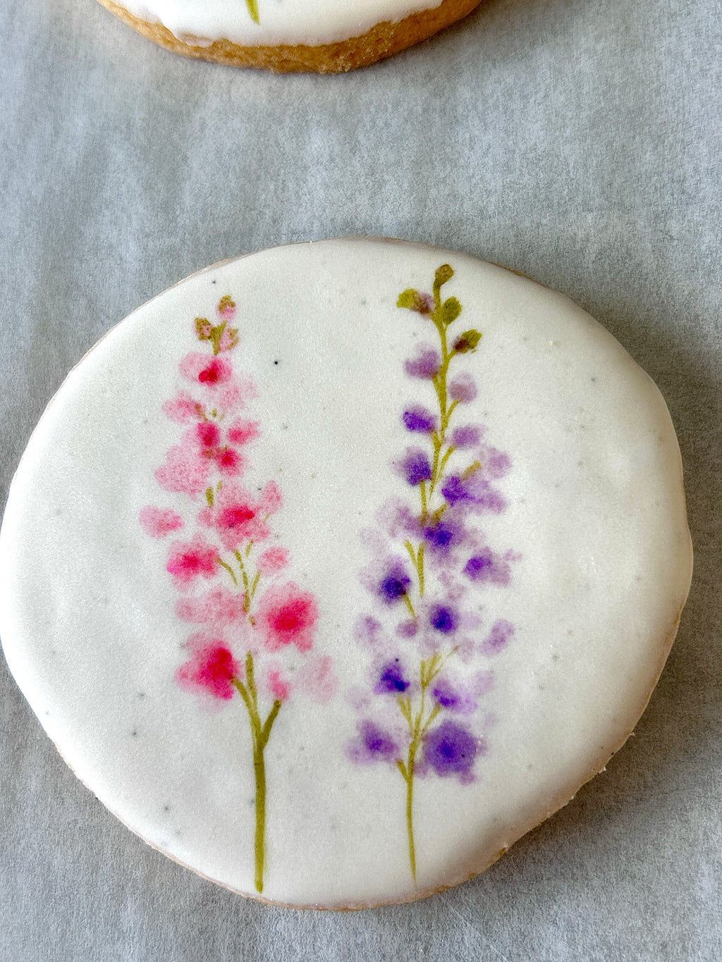 Larkspur