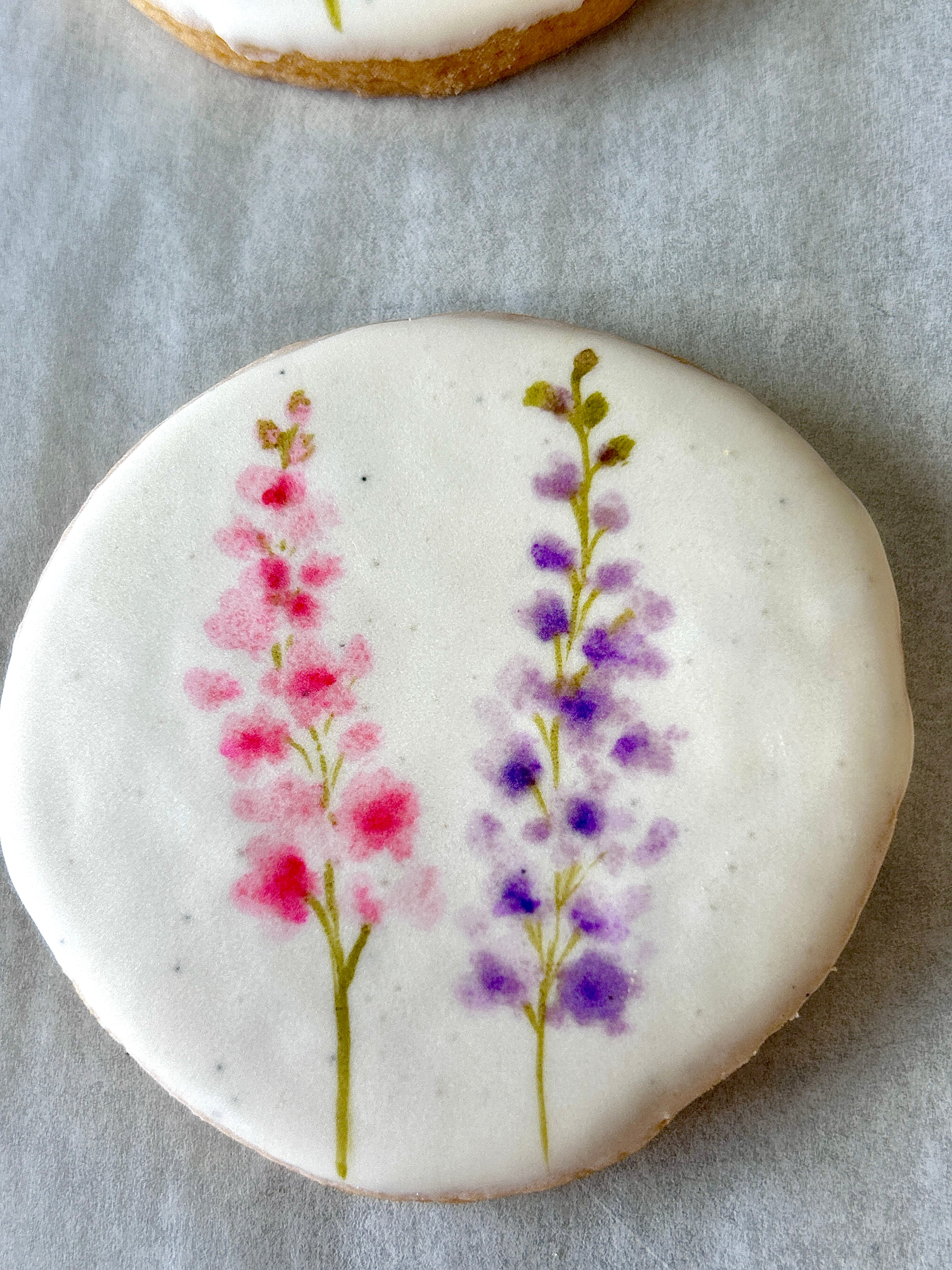 Larkspur