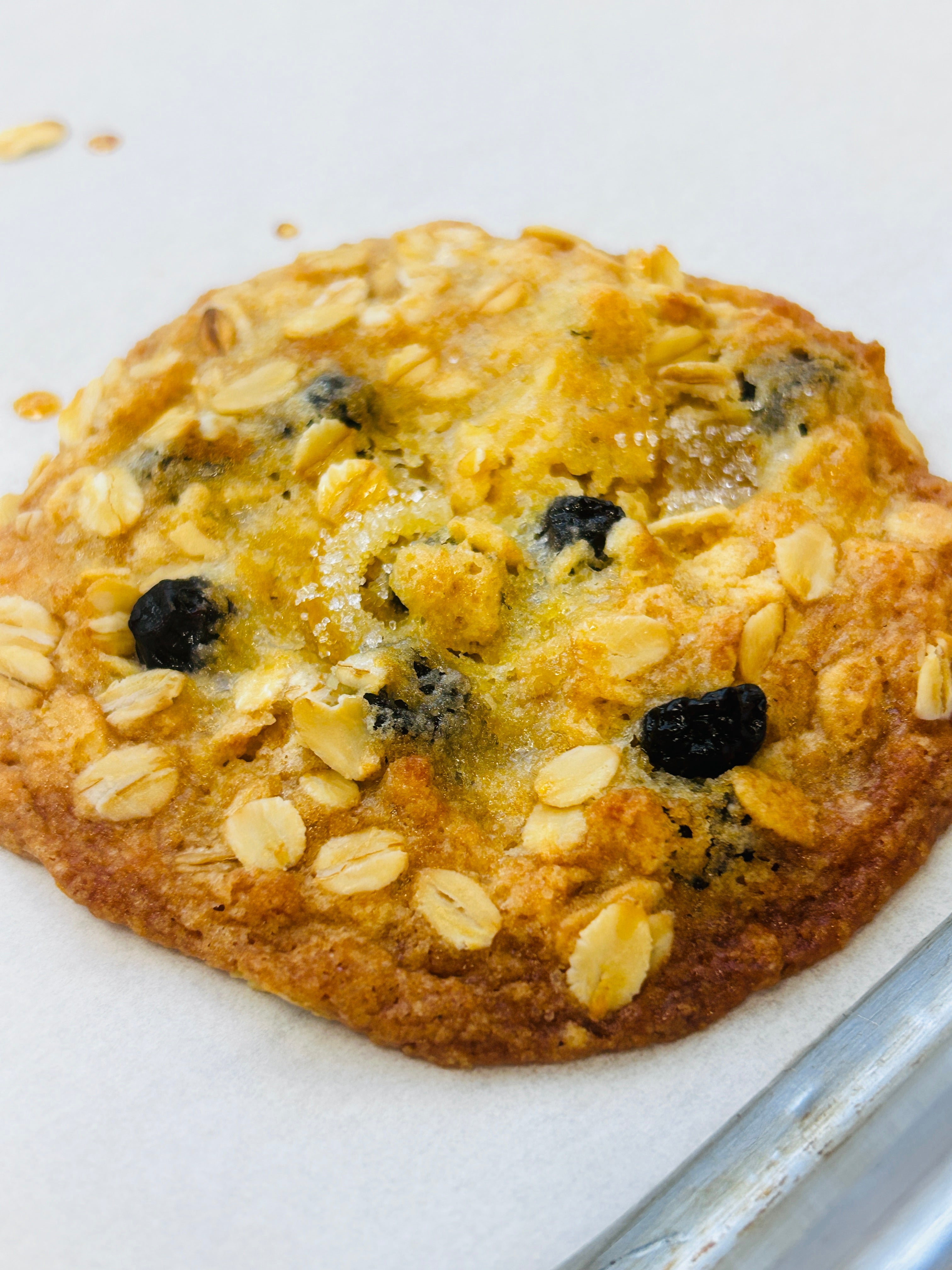 Lemon Blueberry Oatmeal