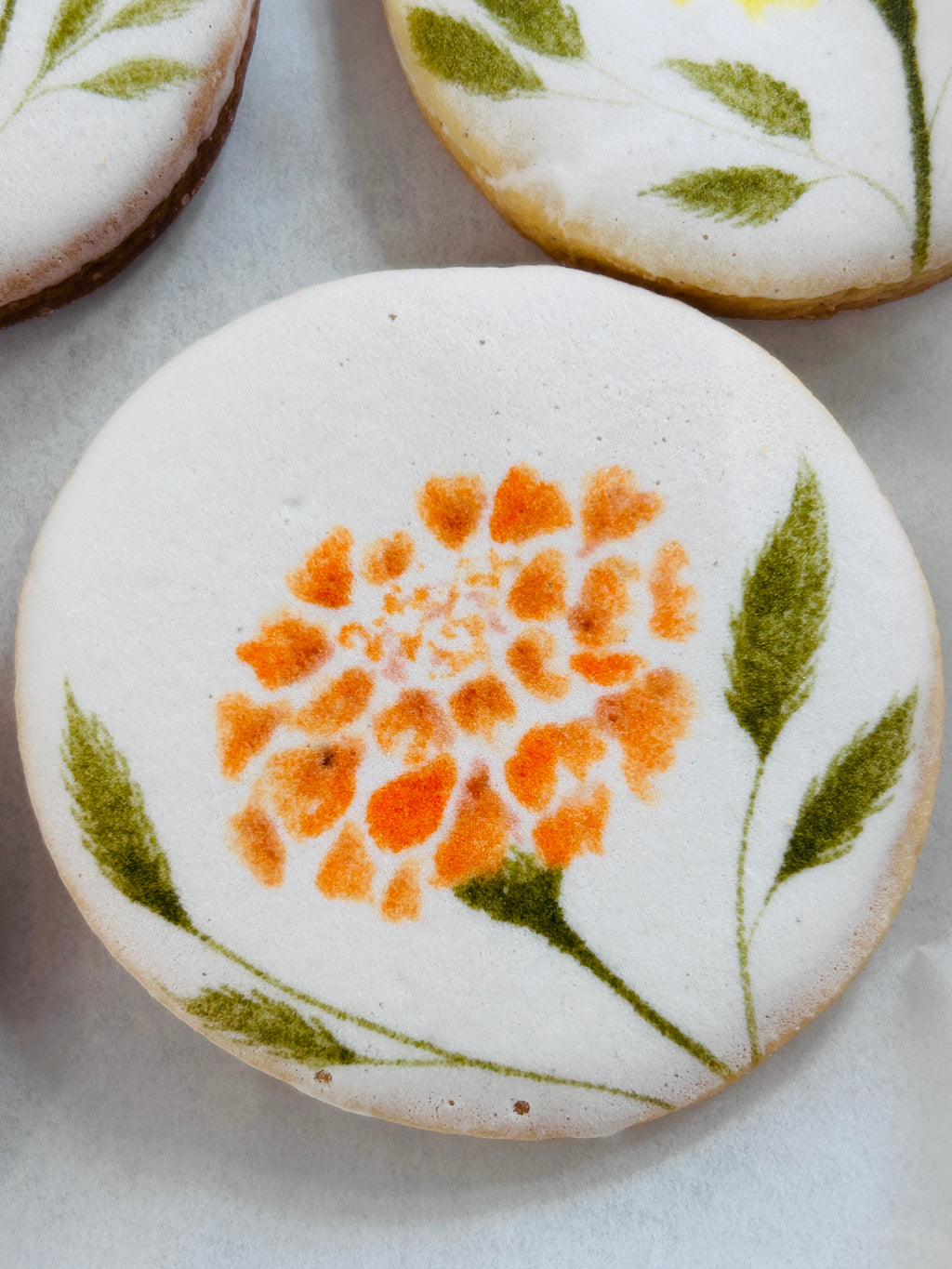 Marigold