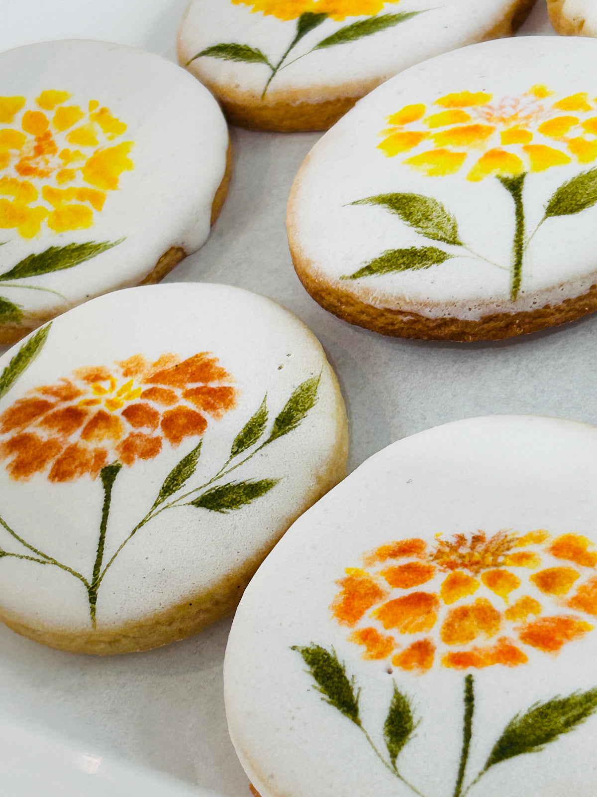Marigold